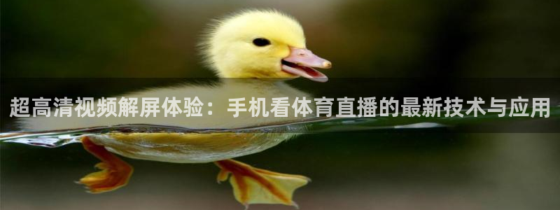 乐球直播网站：超高清视频解屏体验：手机看体育直播的最新技术与应用