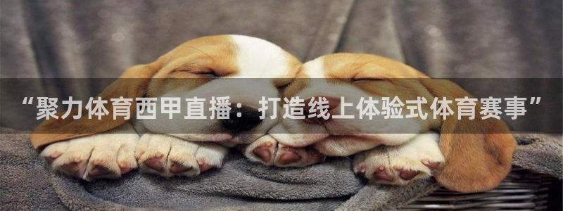 乐球直播nba免费观看高清：“聚力体育西甲直播：打造线上体验式体育赛事”
