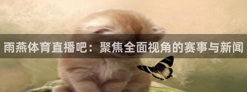 乐球直播无插件nba：雨燕体育直播吧：聚焦全面视角的赛事与新闻