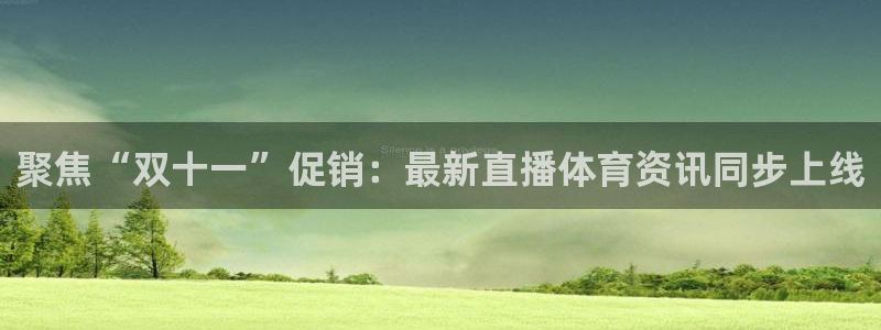 乐球直播app下载：聚焦“双十一”促销：最新直播体育资讯同步上线