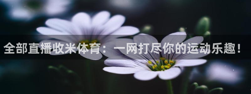 乐球直播免费观看高清nba：全部直播收米体育：一网打尽你的运动乐趣！