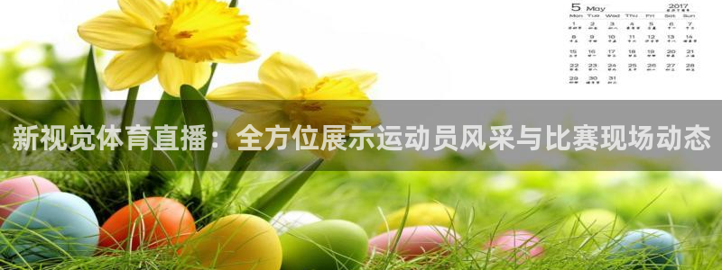乐球直播免费体育直播主页：新视觉体育直播：全方位展示运动员风采与比赛现场动态
