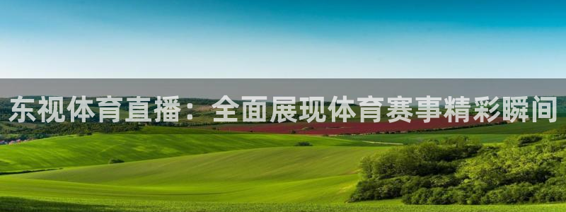 乐球直播体育免费直播：东视体育直播：全面展现体育赛事精彩瞬间