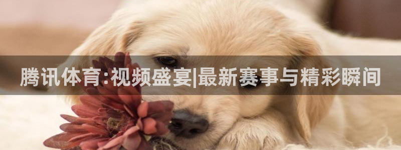 乐球直播app官方入口
