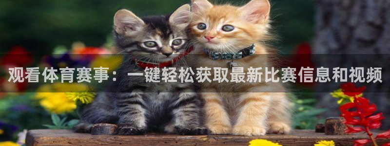 乐球直播在线观看