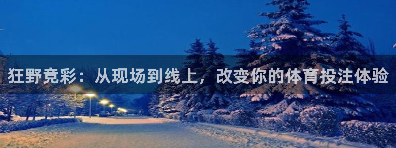 乐球直播全球赛事免费高清：狂野竞彩：从现场到线上，改变你的体育投注体验