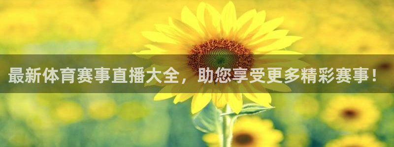乐球直播在线观看免费高清：最新体育赛事直播大全，助您享受更多精彩赛事！