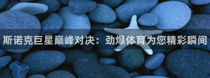 乐球直播(无插件)nba：斯诺克巨星巅峰对决：劲爆体育为您精彩瞬间