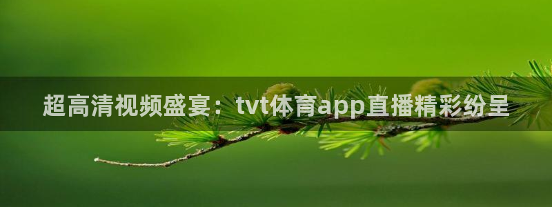 nba直播免费观看直播在线乐球直播：超高清视频盛宴：tvt体育app直播精彩纷呈