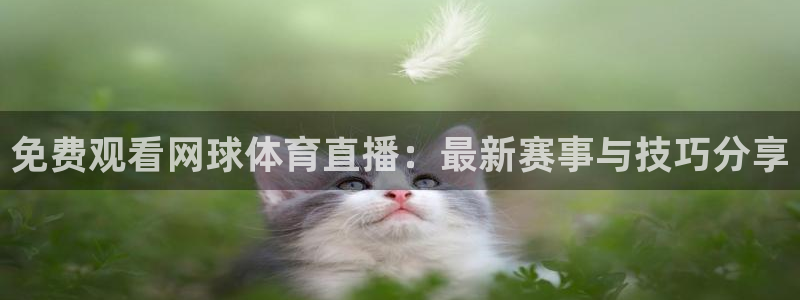 乐球直播足球：免费观看网球体育直播：最新赛事与技巧分享