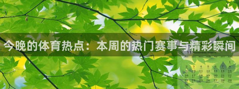 乐球直播免费体育直播在线观看：今晚的体育热点：本周的热门赛事与精彩瞬间